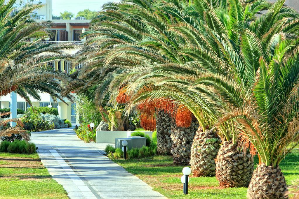 Santa Marina Beach Gazi المظهر الخارجي الصورة